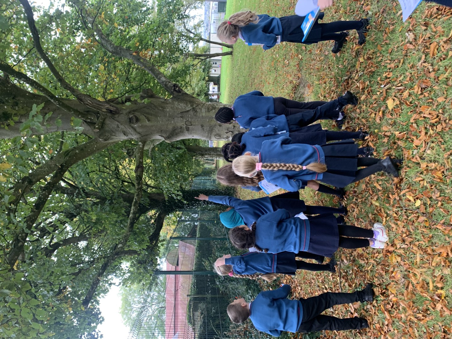 Ms Daly's Class Image 3