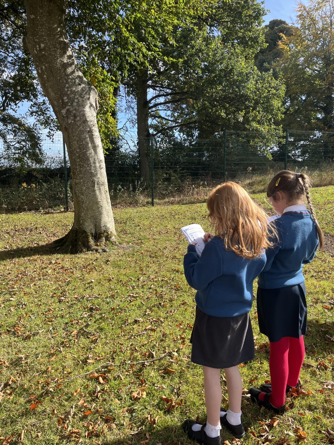 Ms Noonan's Class Image 11