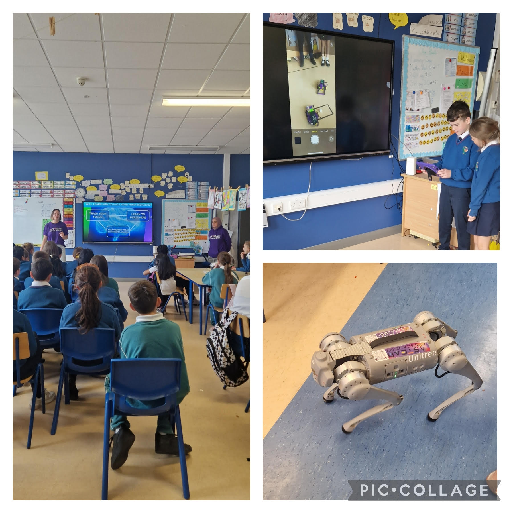 Ms McManus' Class STEAM Academy Image