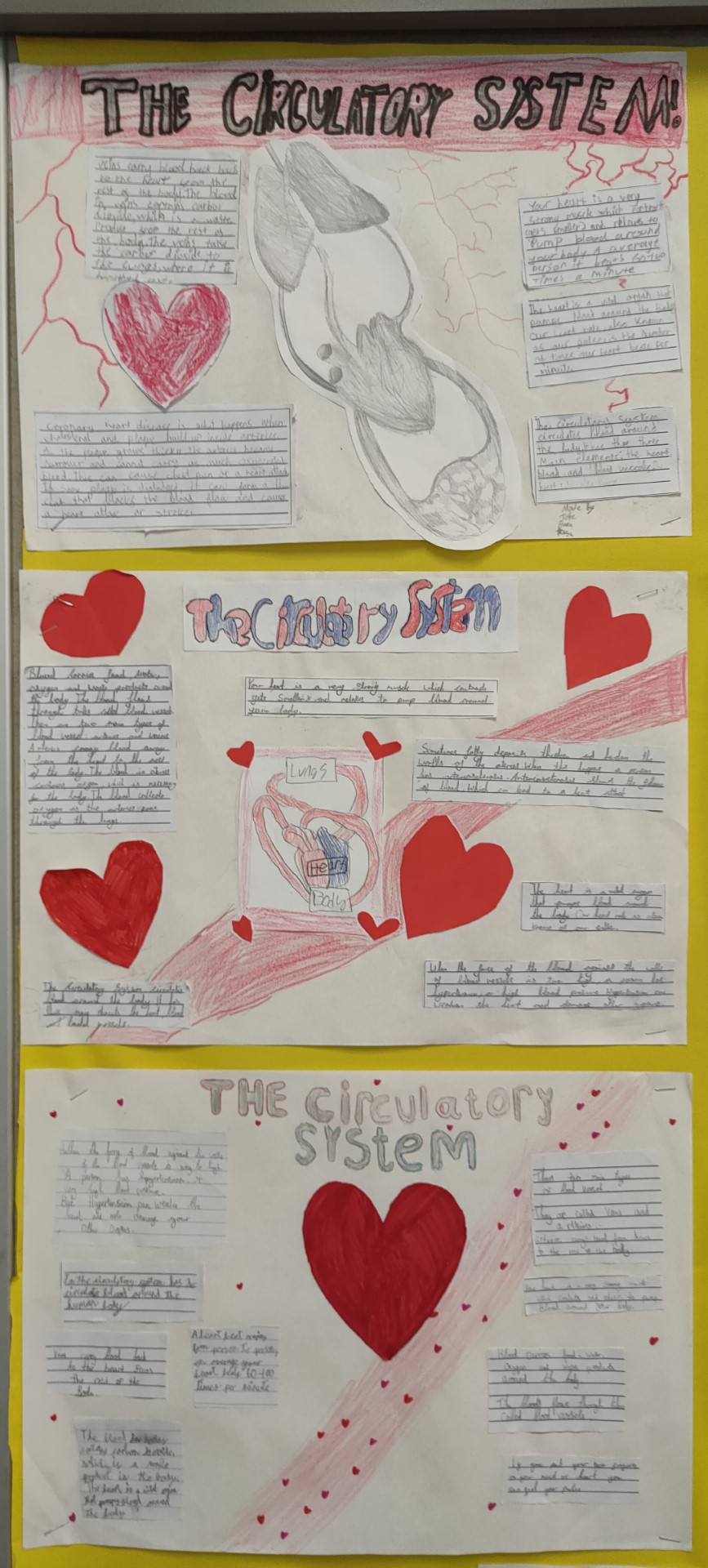 Ms McGarry & Ms Galligan's Class Image 10