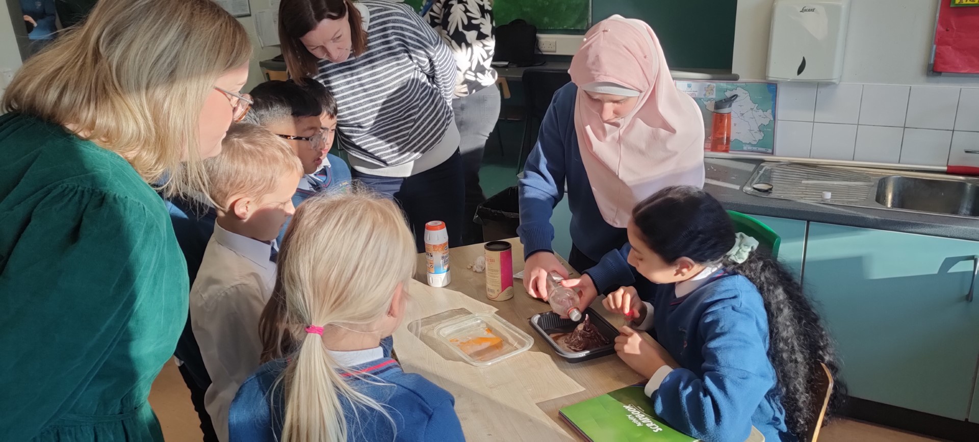 November Highlights Image 8