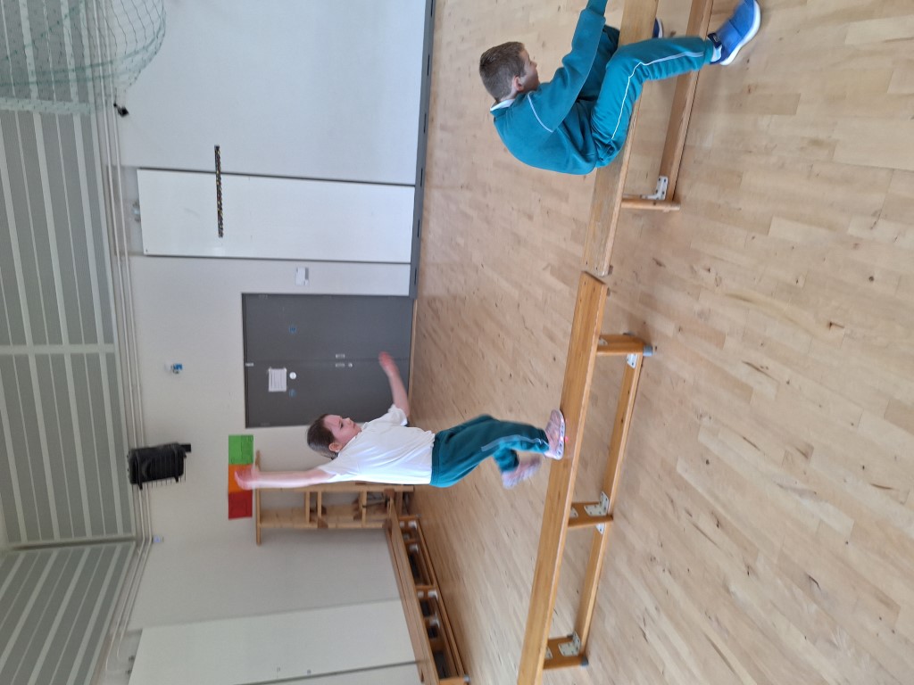 Mr Burlington Image 1