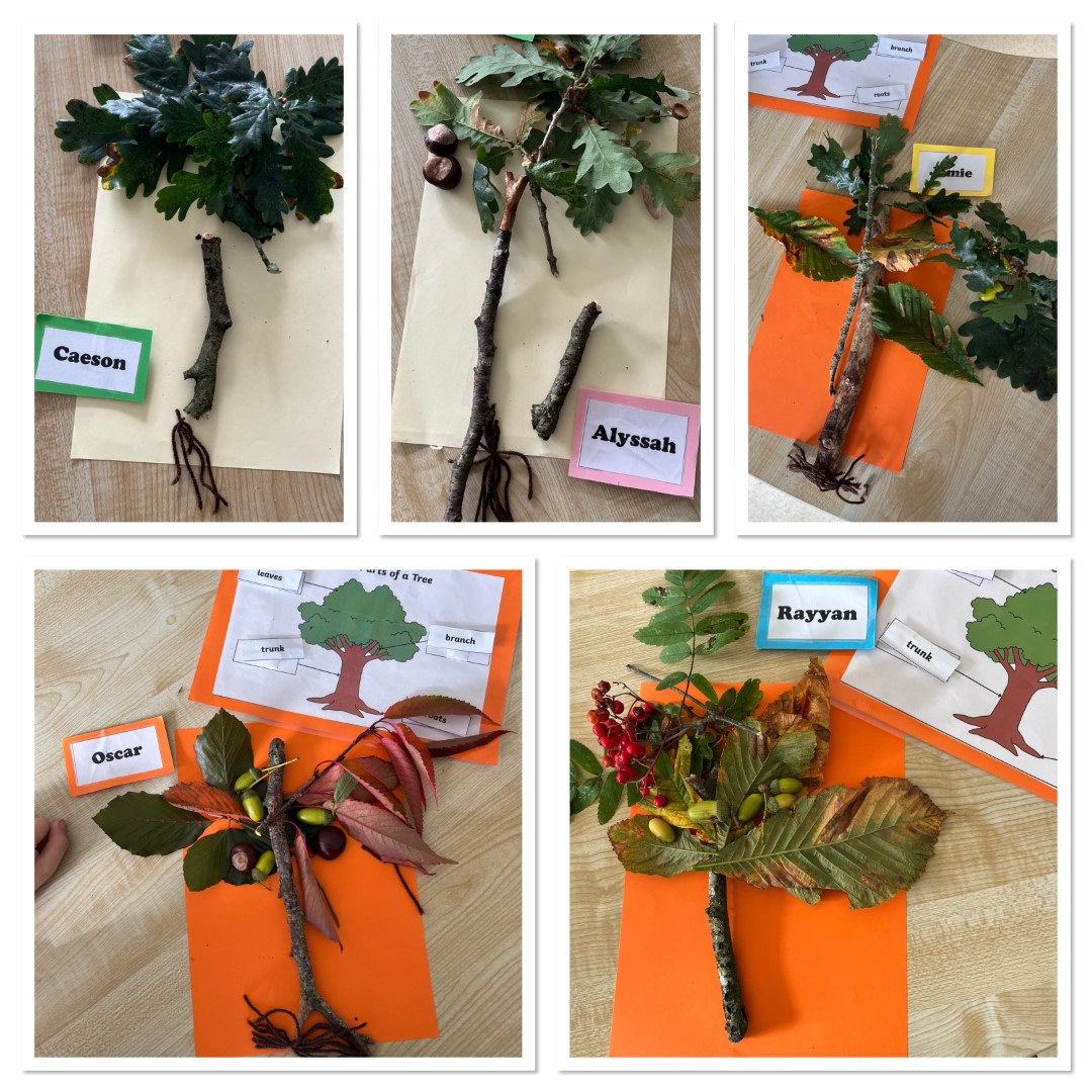 Ms Coyne's Class Image 2