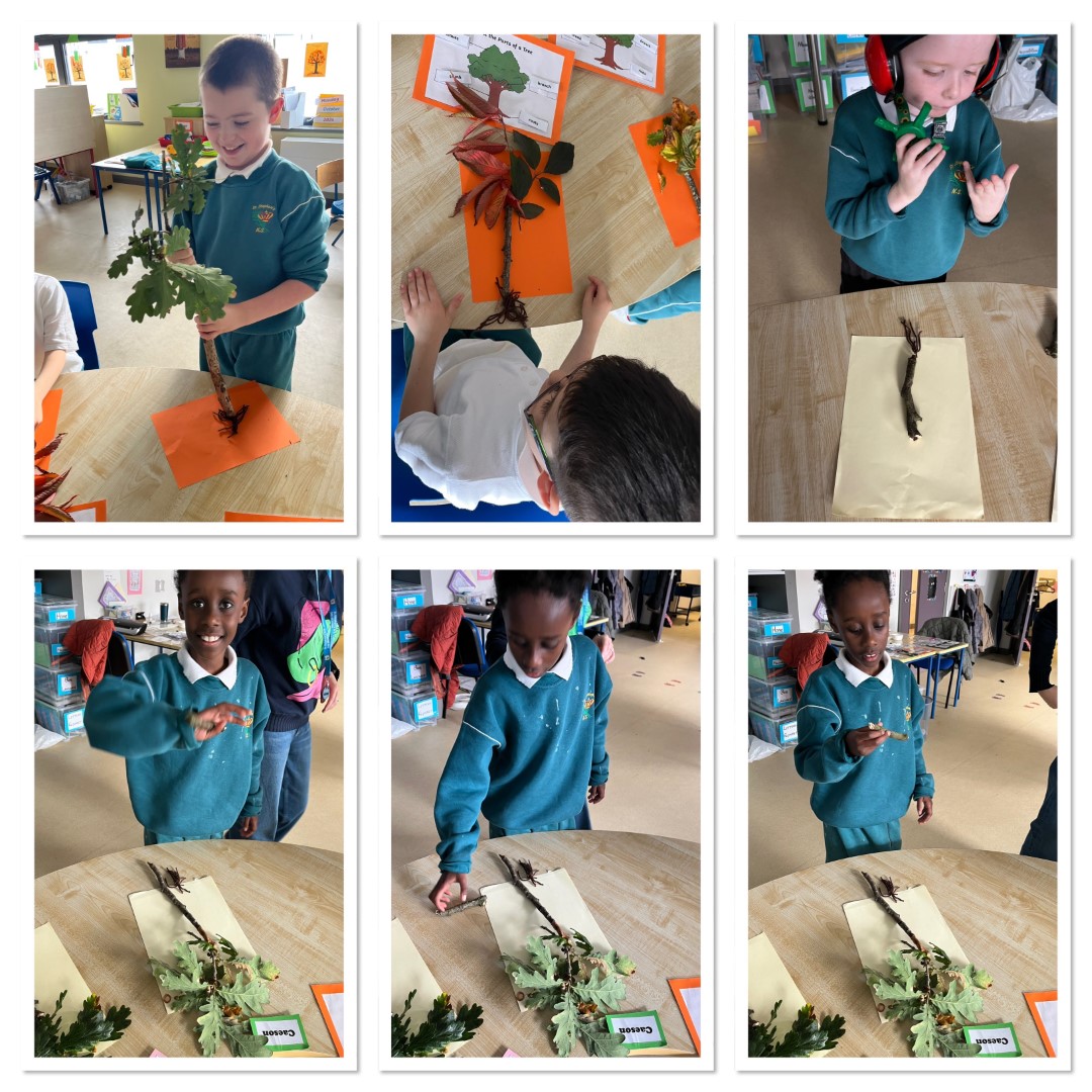 Ms Coyne's Class Image 3