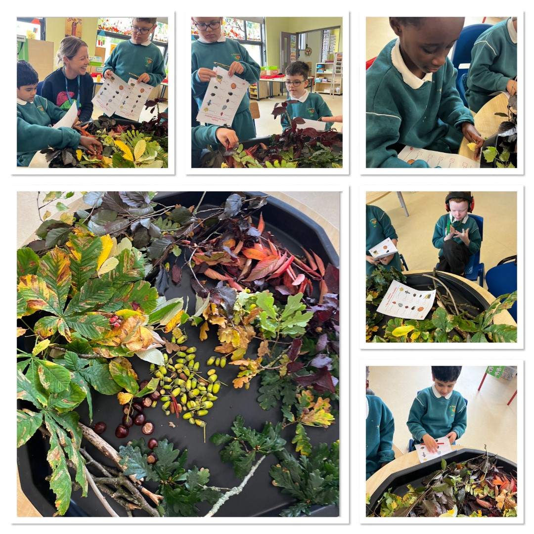 Ms Coyne's Class Image 5