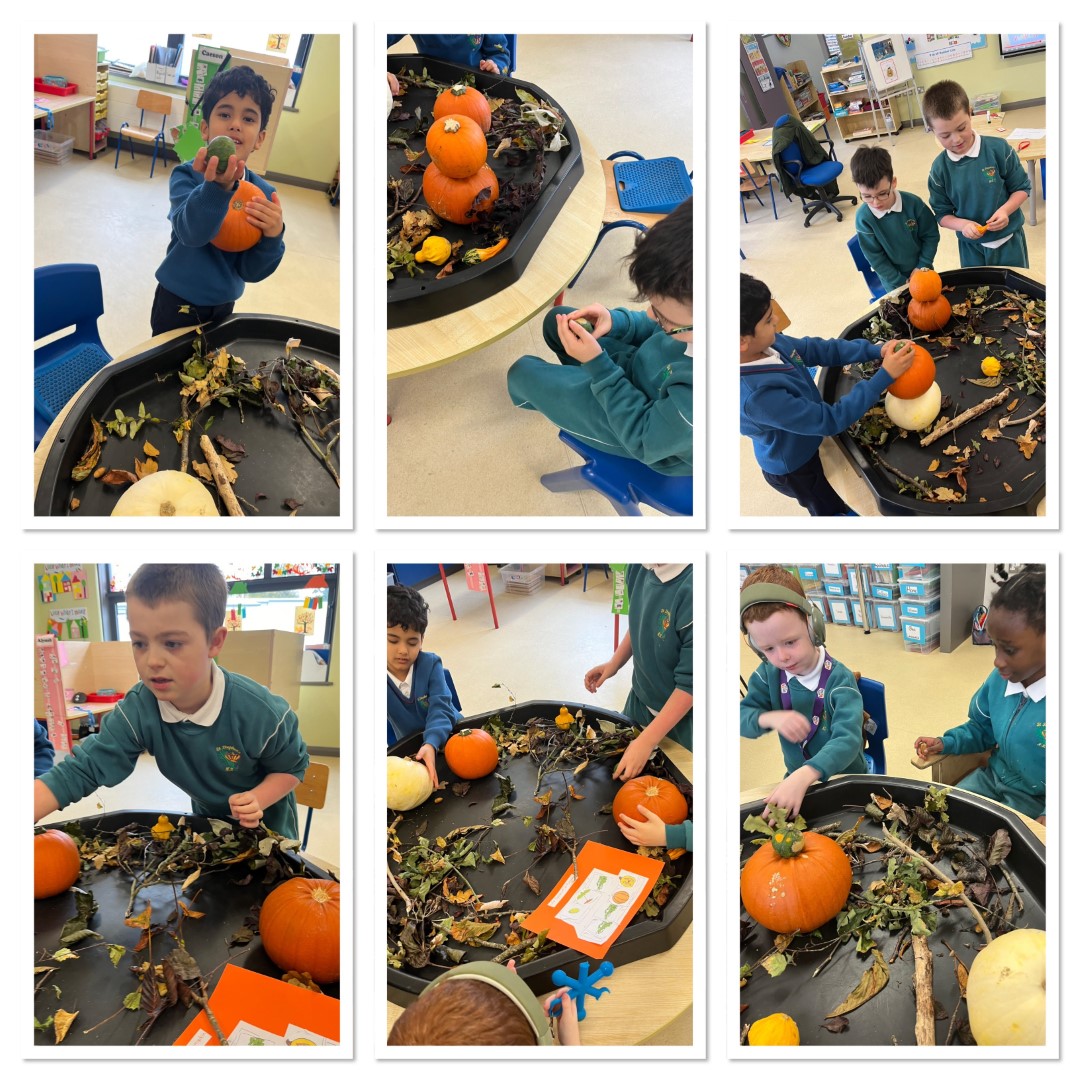 Ms Coyne's Class Image 9