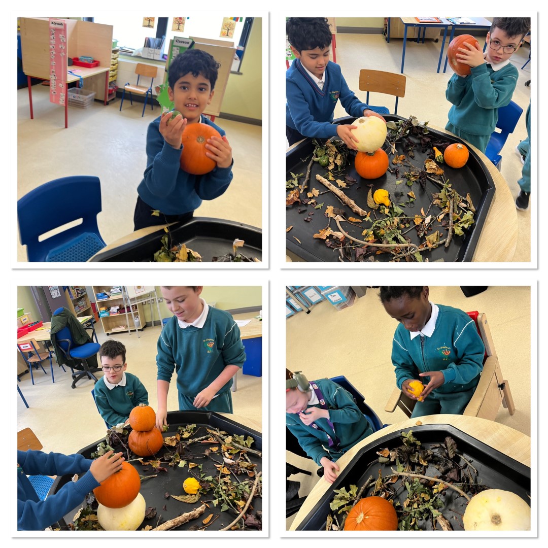 Ms Coyne's Class Image 10