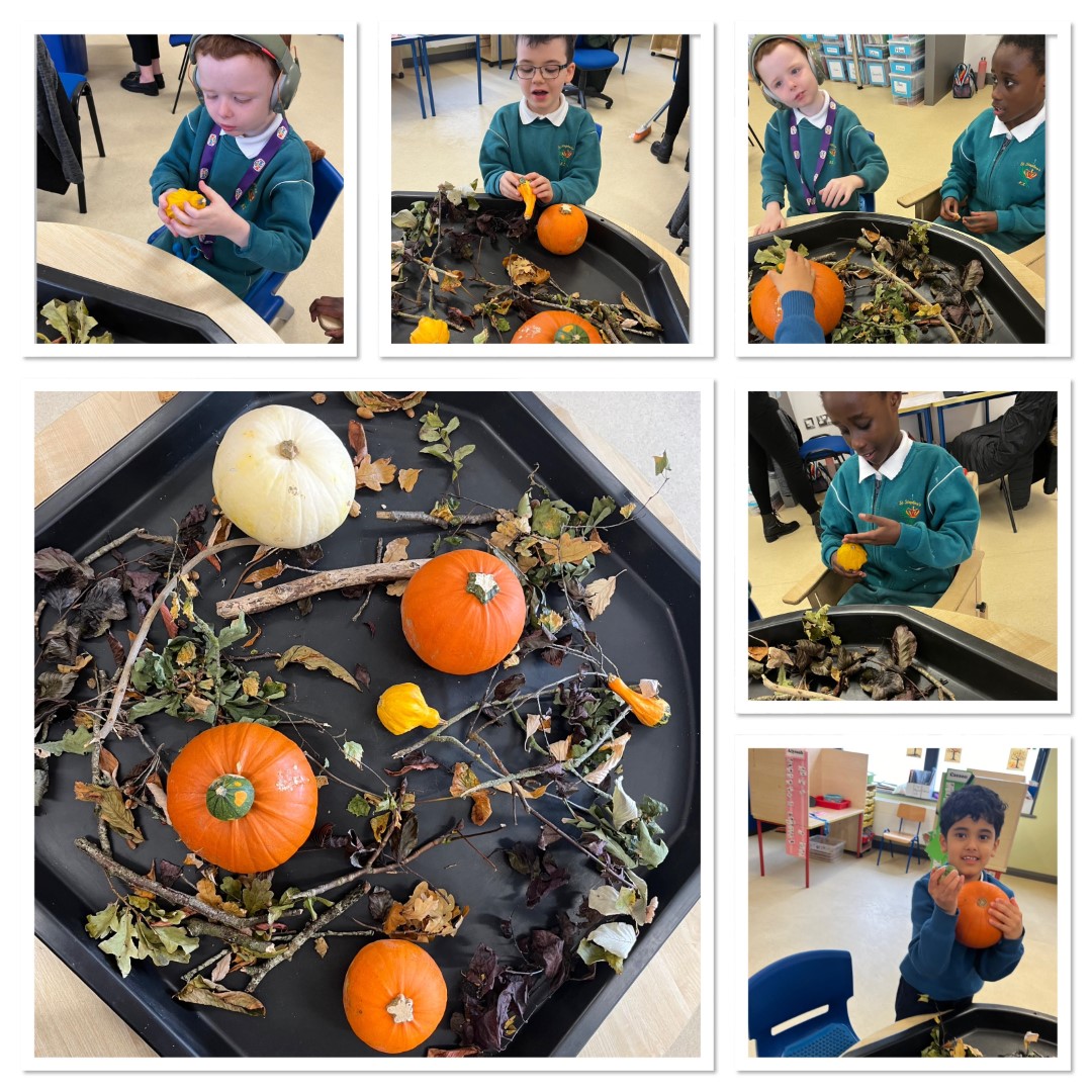 Ms Coyne's Class Image 11