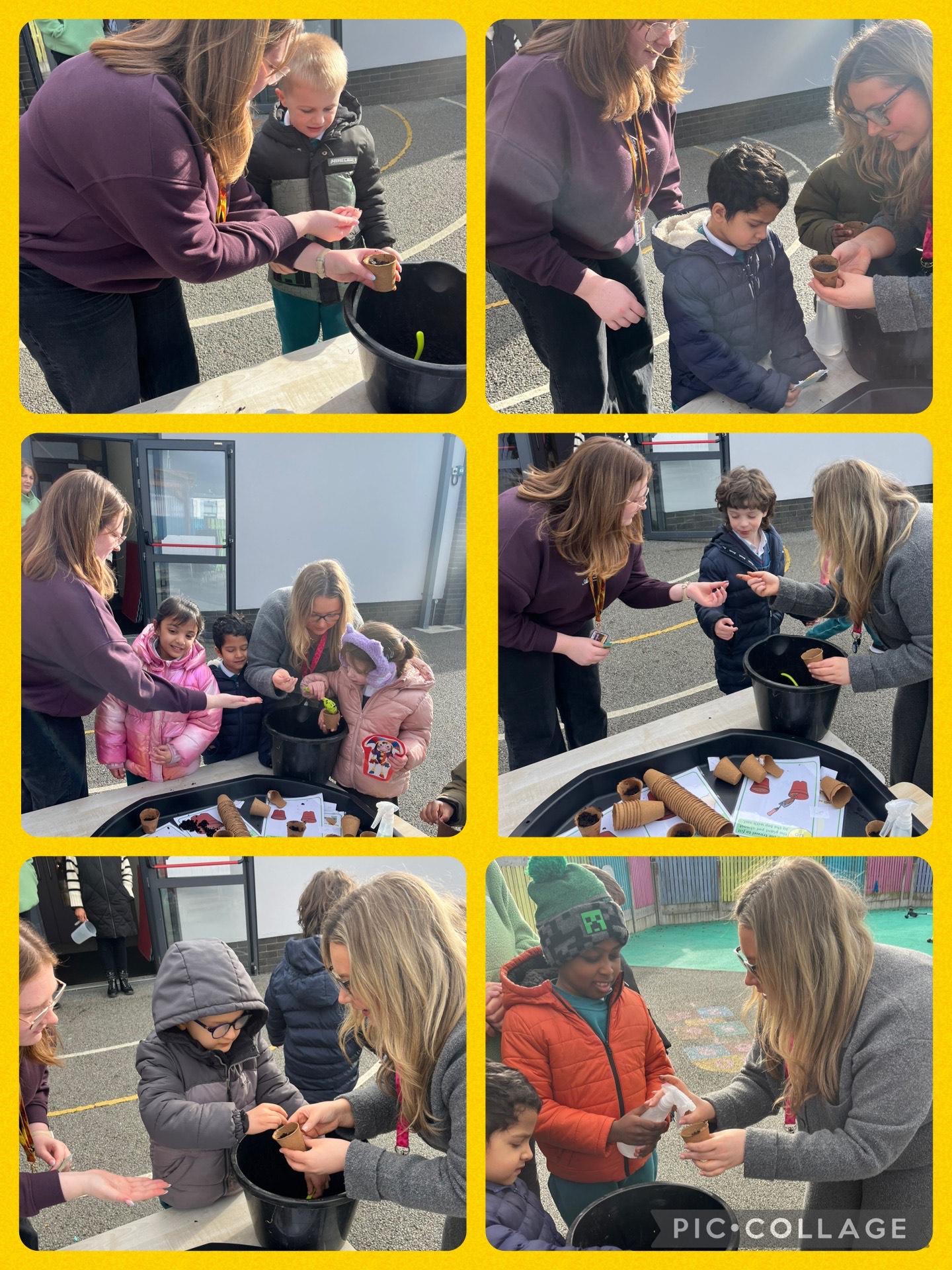 Spring Planting Image 2