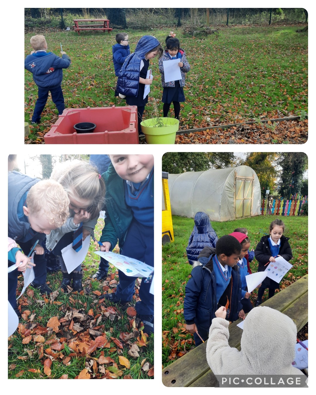 Ms Branigan's Class Image 1