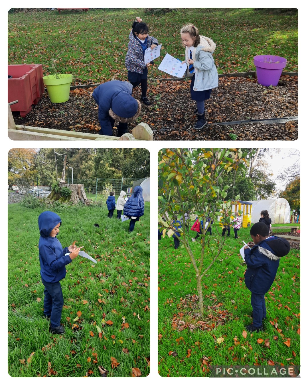 Ms Branigan's Class Image 2