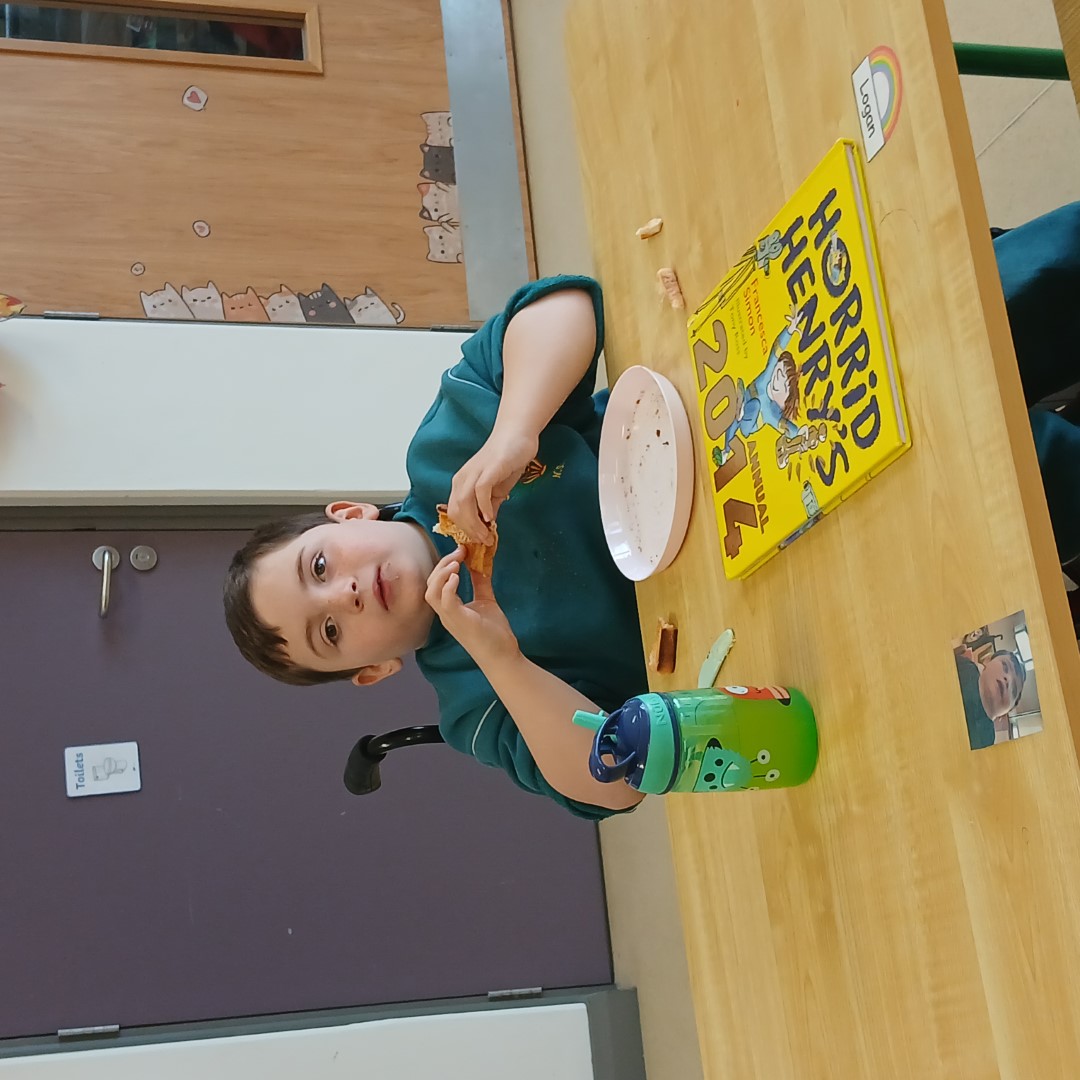 Ms Higgins' Sonas Class Image 1