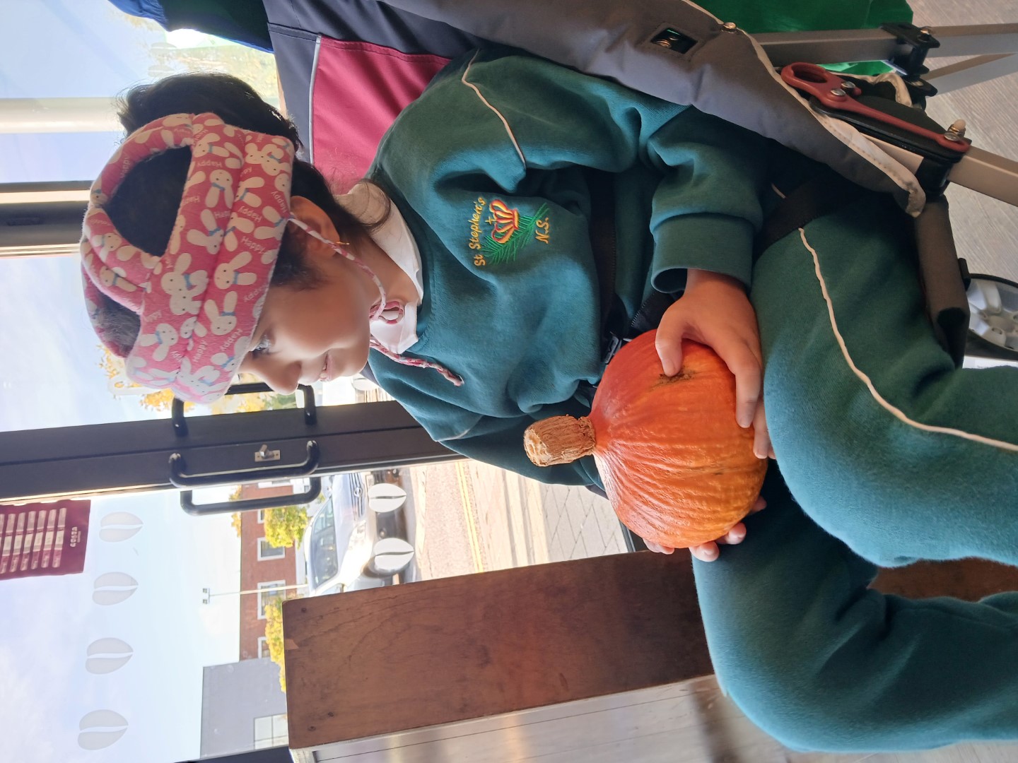 Ms Higgins' Sonas Class Image 2