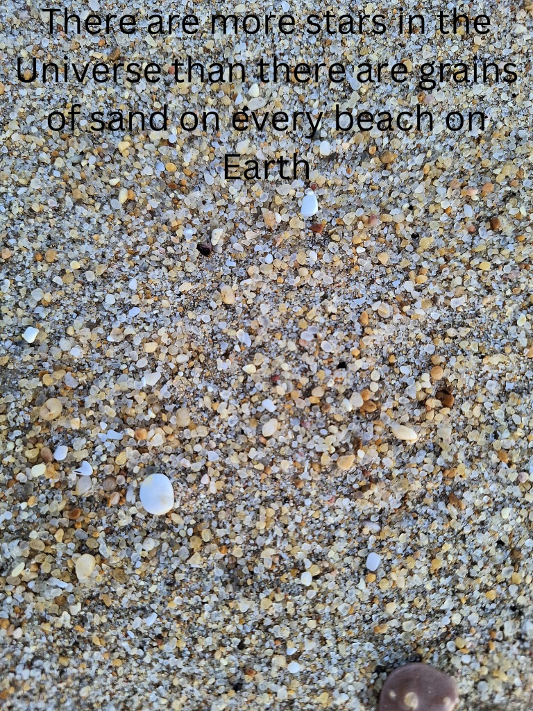 Dorian Wrina,
 Mr. O'Brien's 5th Class